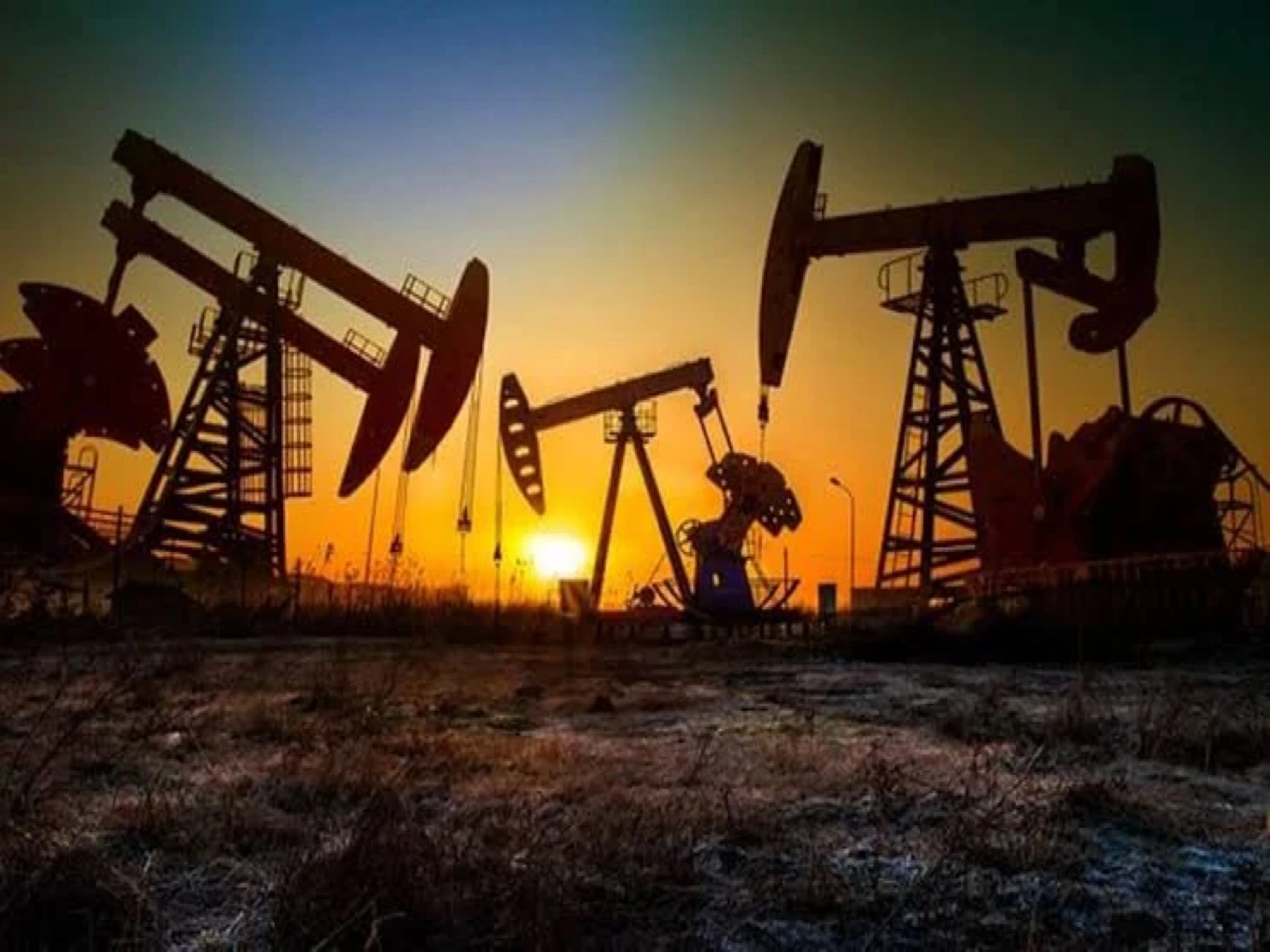 Pakistan's oil production