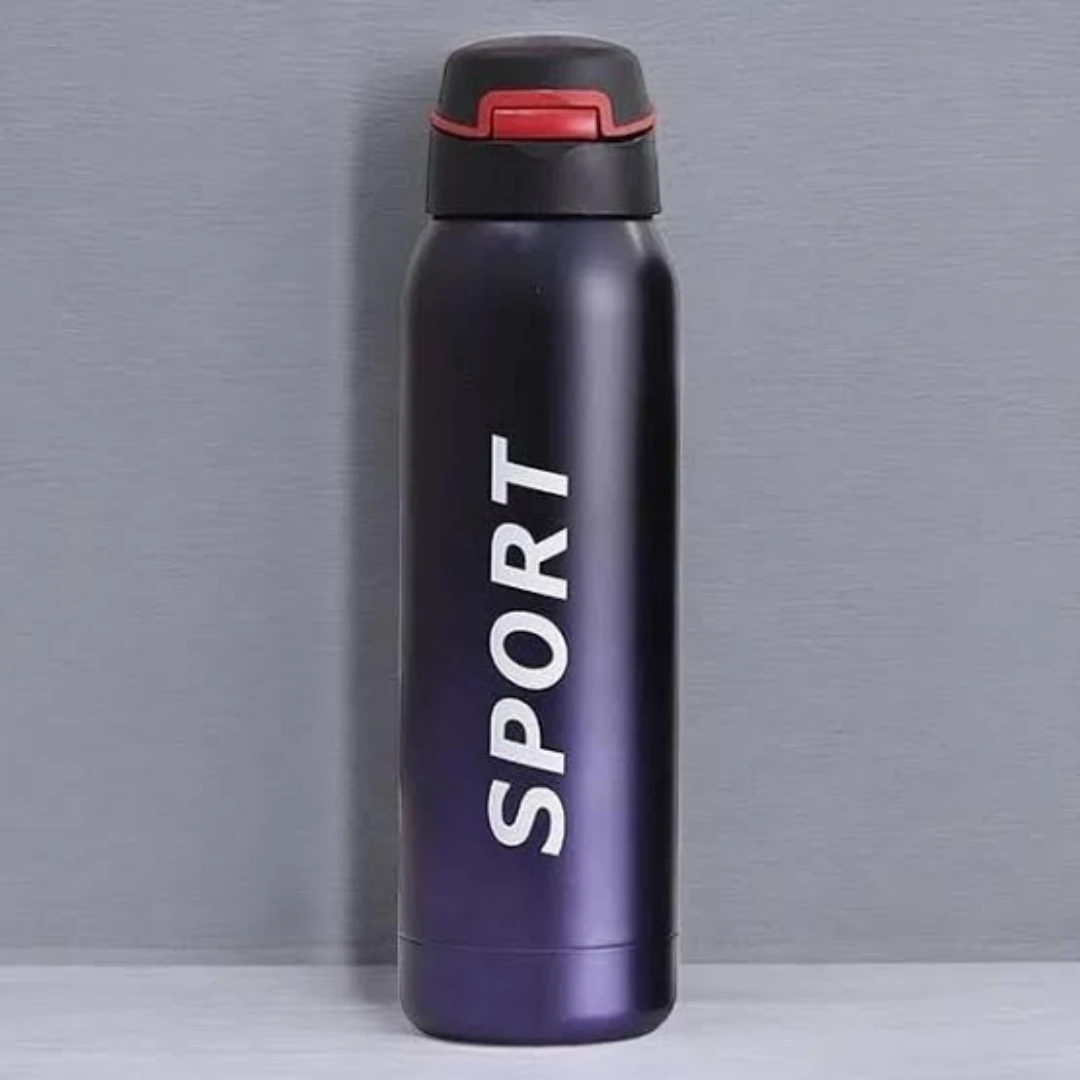Insulated Travel Bottle